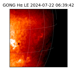 gong - 2024-07-22T06:39:42