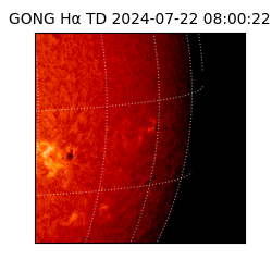 gong - 2024-07-22T08:00:22