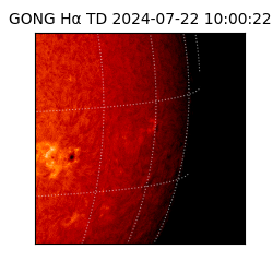 gong - 2024-07-22T10:00:22