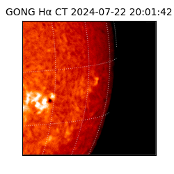 gong - 2024-07-22T20:01:42