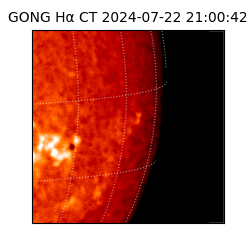 gong - 2024-07-22T21:00:42