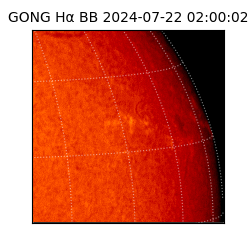 gong - 2024-07-22T02:00:02