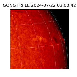 gong - 2024-07-22T03:00:42