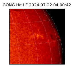 gong - 2024-07-22T04:00:42