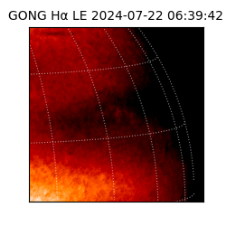 gong - 2024-07-22T06:39:42