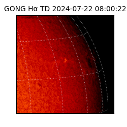 gong - 2024-07-22T08:00:22