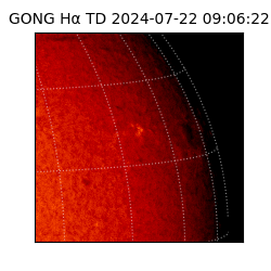 gong - 2024-07-22T09:06:22