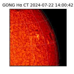 gong - 2024-07-22T14:00:42