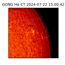 gong - 2024-07-22T15:00:42