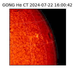 gong - 2024-07-22T16:00:42