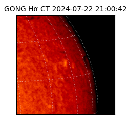 gong - 2024-07-22T21:00:42