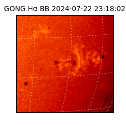 gong - 2024-07-22T23:18:02