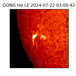 gong - 2024-07-22T03:00:42