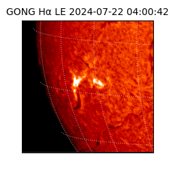 gong - 2024-07-22T04:00:42