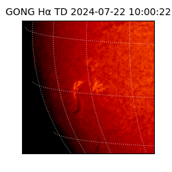 gong - 2024-07-22T10:00:22