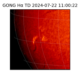 gong - 2024-07-22T11:00:22