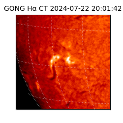 gong - 2024-07-22T20:01:42