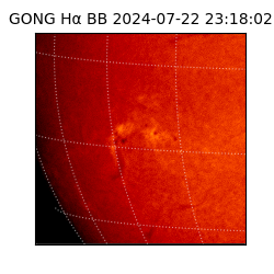 gong - 2024-07-22T23:18:02