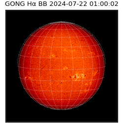 gong - 2024-07-22T01:00:02