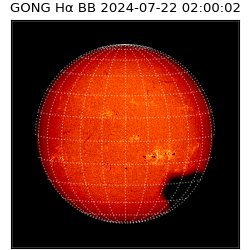 gong - 2024-07-22T02:00:02