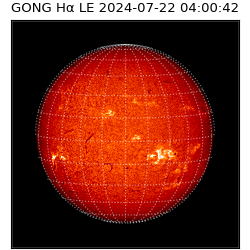 gong - 2024-07-22T04:00:42