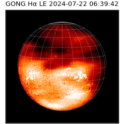 gong - 2024-07-22T06:39:42