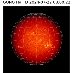 gong - 2024-07-22T08:00:22