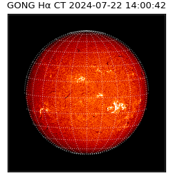 gong - 2024-07-22T14:00:42