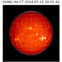 gong - 2024-07-22T20:01:42