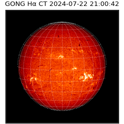 gong - 2024-07-22T21:00:42