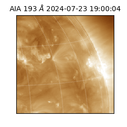 saia - 2024-07-23T19:00:04.843000