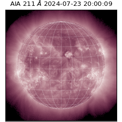 saia - 2024-07-23T20:00:09.630000