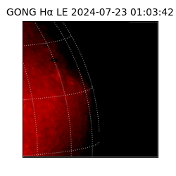 gong - 2024-07-23T01:03:42