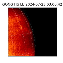 gong - 2024-07-23T03:00:42