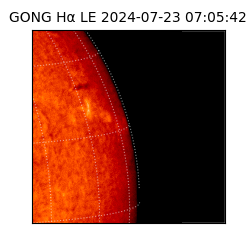 gong - 2024-07-23T07:05:42