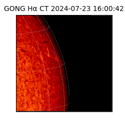 gong - 2024-07-23T16:00:42