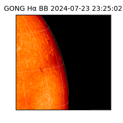 gong - 2024-07-23T23:25:02