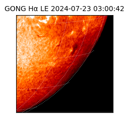 gong - 2024-07-23T03:00:42