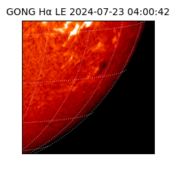 gong - 2024-07-23T04:00:42