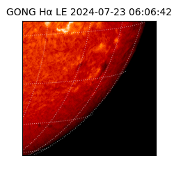 gong - 2024-07-23T06:06:42