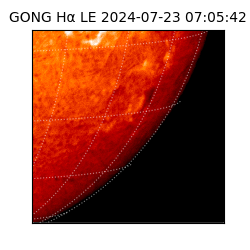 gong - 2024-07-23T07:05:42