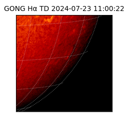 gong - 2024-07-23T11:00:22