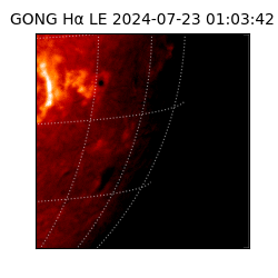 gong - 2024-07-23T01:03:42