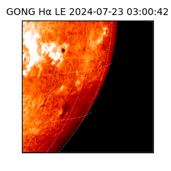 gong - 2024-07-23T03:00:42