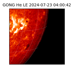 gong - 2024-07-23T04:00:42