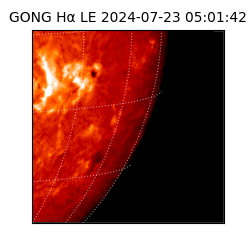 gong - 2024-07-23T05:01:42