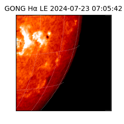 gong - 2024-07-23T07:05:42