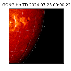 gong - 2024-07-23T09:00:22