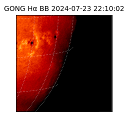 gong - 2024-07-23T22:10:02