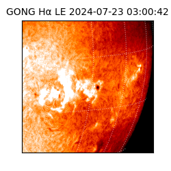 gong - 2024-07-23T03:00:42